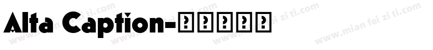 Alta Caption字体转换
